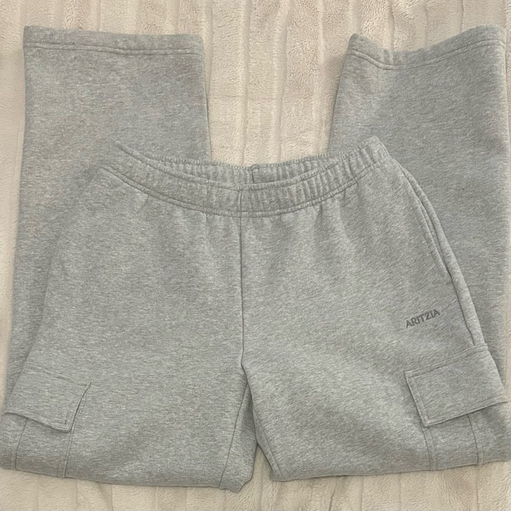 Aritzia Cozy Sweatfleece Mega Cargo sweatpants in heather chrome